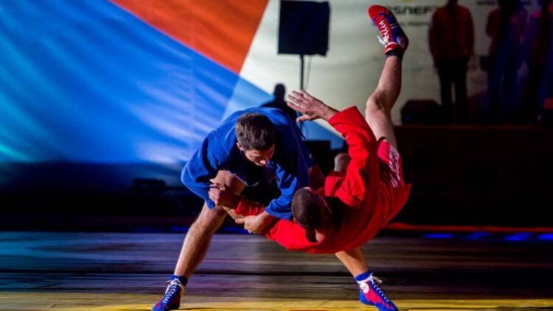 Боевой самбист