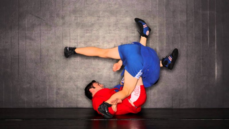 Боевое самбо