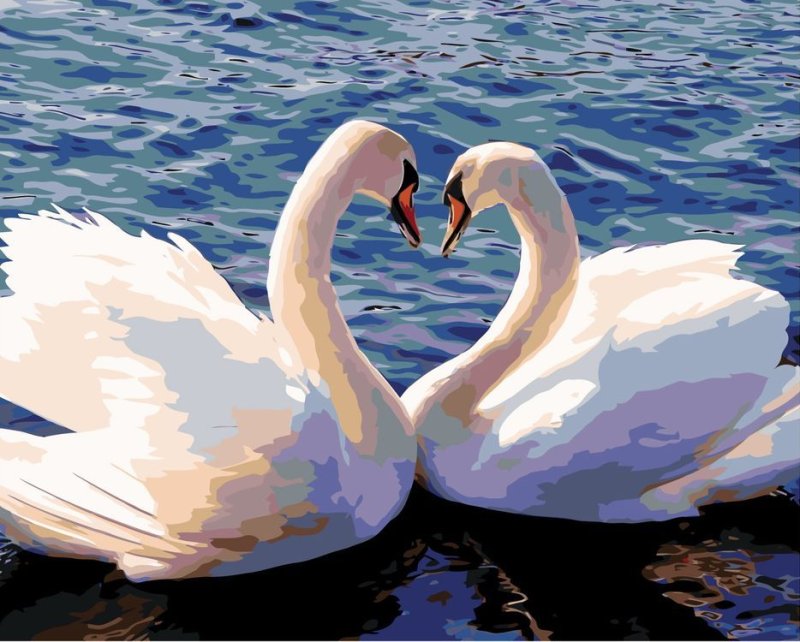 Любовь и лебеди
