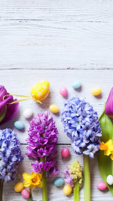 С днем рождения гиацинты