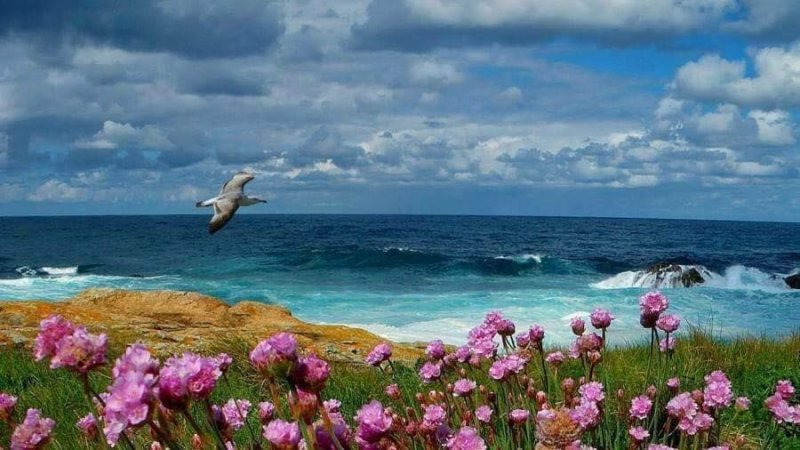 Красивые морские пейзажи