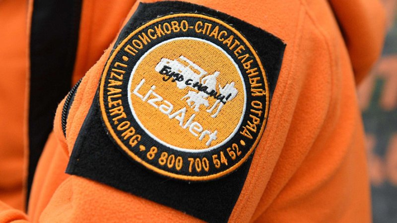 Нашивки Лиза Алерт шевроны