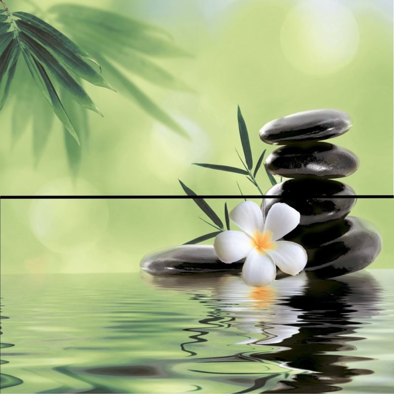 Фотообои бамбук