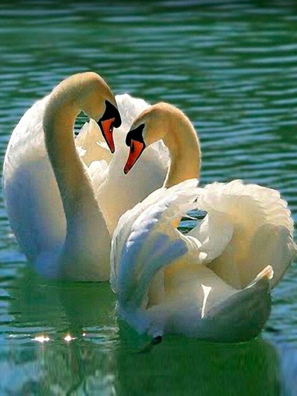 День семьи любви и верности фон