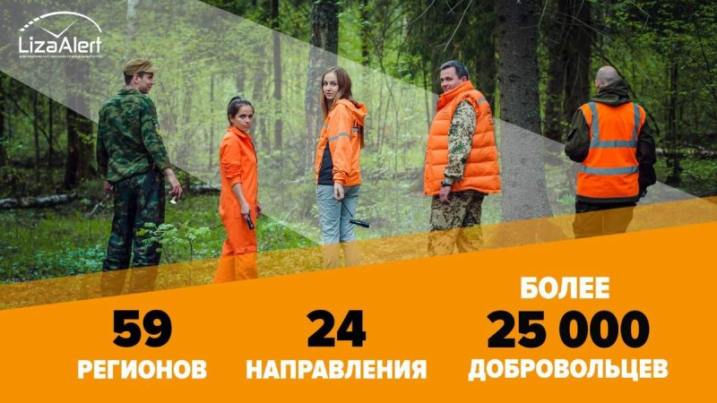 Лиза Алерт волонтеры