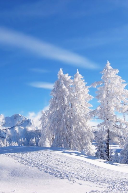 Снежный пейзаж