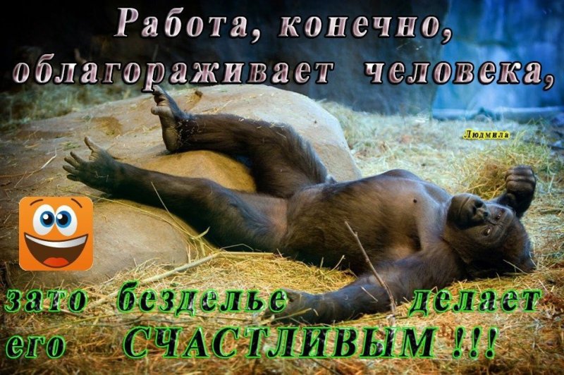 Пятница скоро выходные