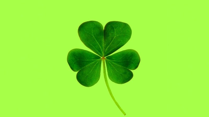 Четырёхлистный Клевер символ удачи