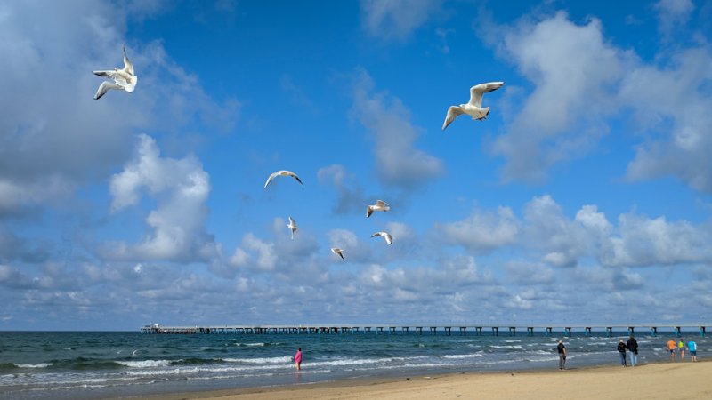 Черное море Витязево