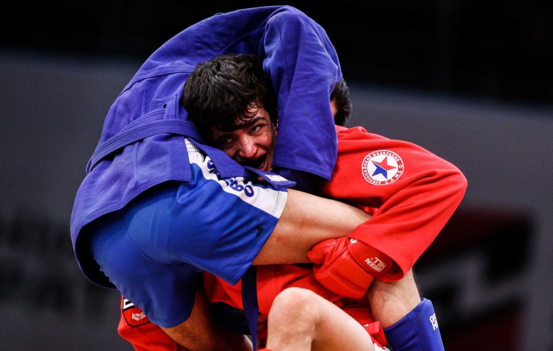 Самбист Емельяненко