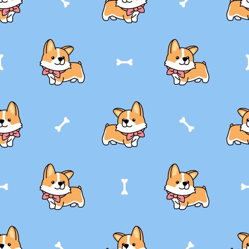 Корги обои