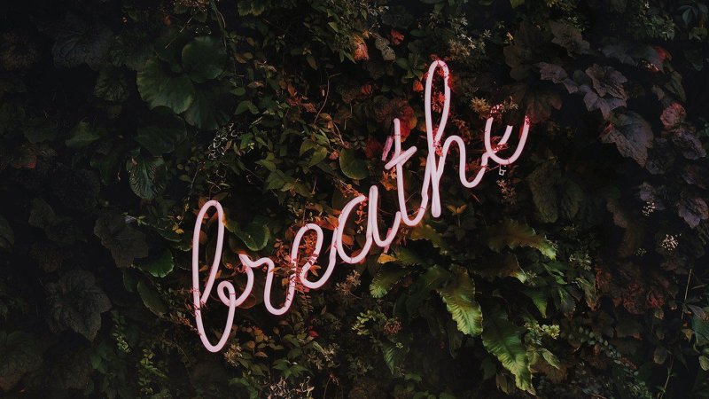 Обои Breathe