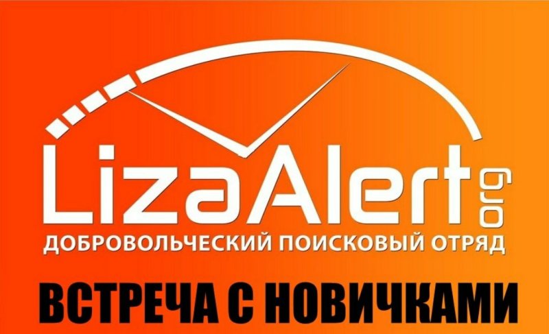 Лиза Алерт надпись