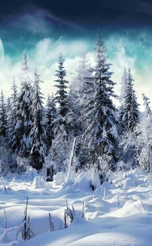 Зимняя природа