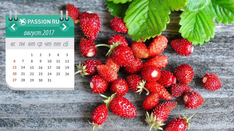 Фон для календаря