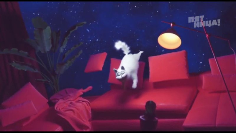 Кот с пятницы Телеканал