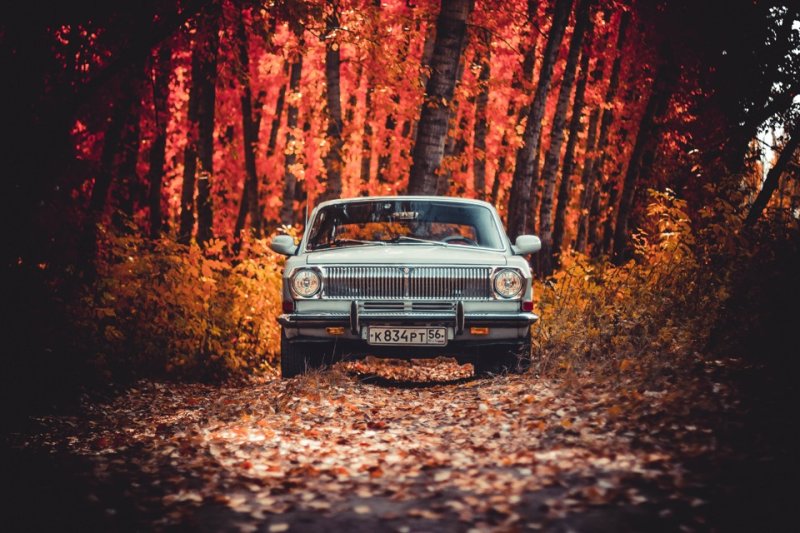 ГАЗ 3102 стенс