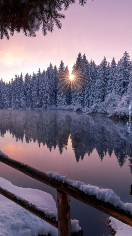 Красивая зима