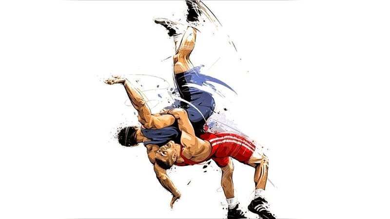 Греко-Римская, Вольная борцы