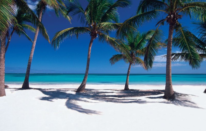 Доминикана Саона пальмы