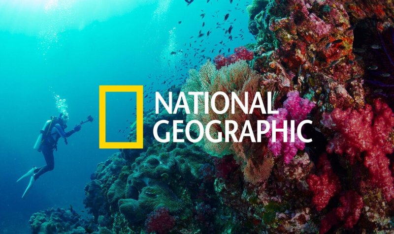 Nat geo Телеканал