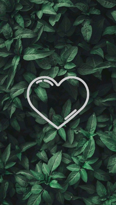 Зеленое сердце Эстетика