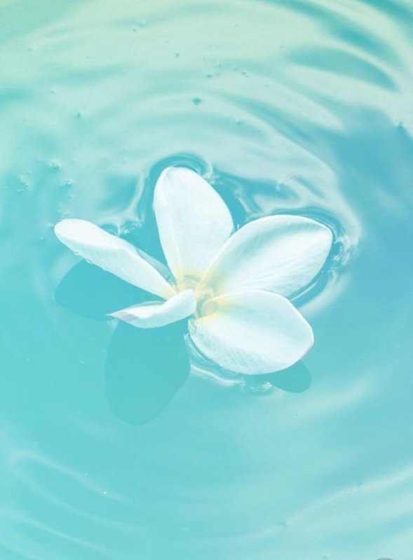 Нежно голубой