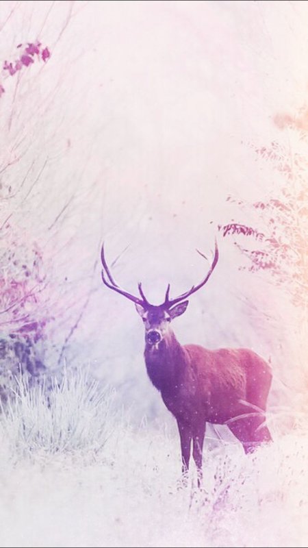 Розовый олень