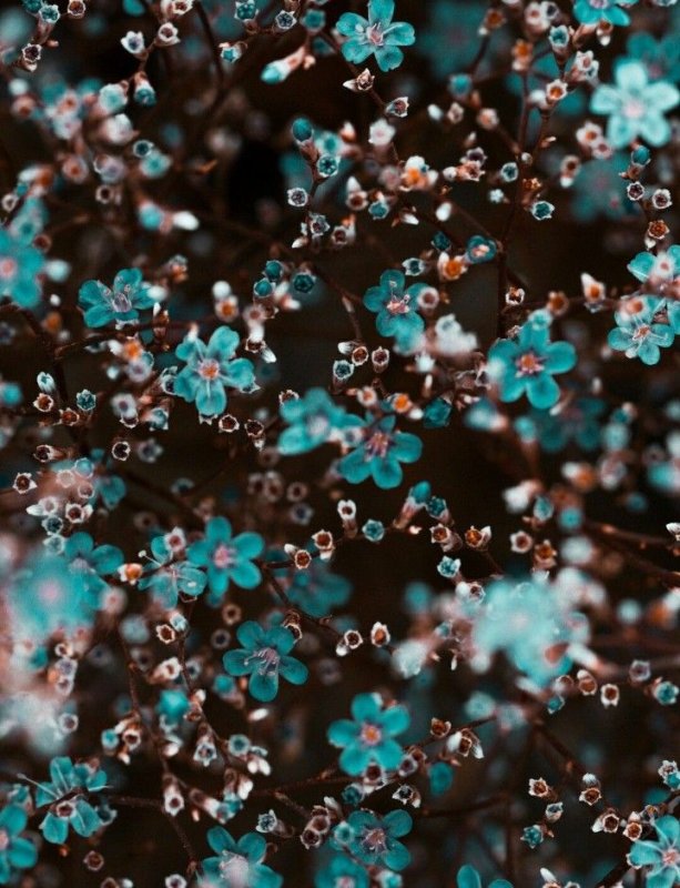 Фон на телефон красивые