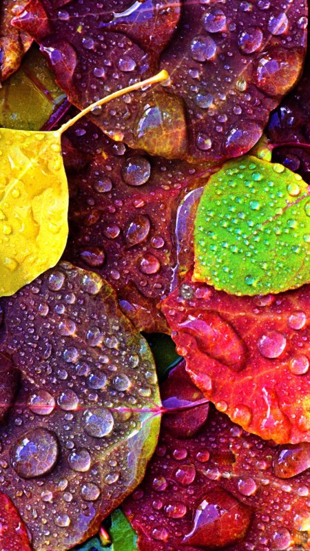 Темы на телефон