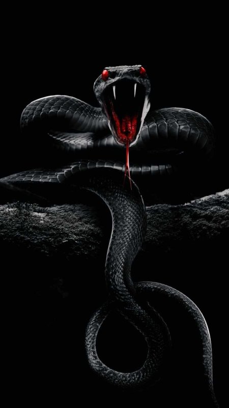 Black Mamba змея