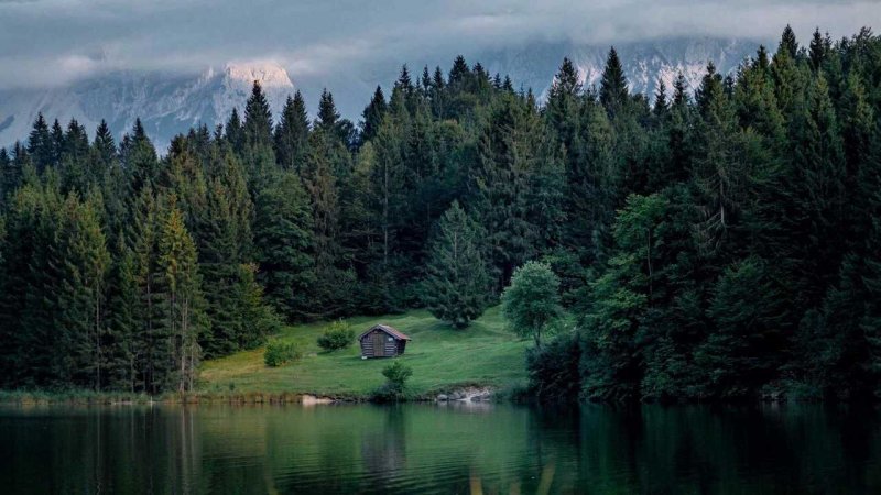 Лесное озеро (Forest Lake)