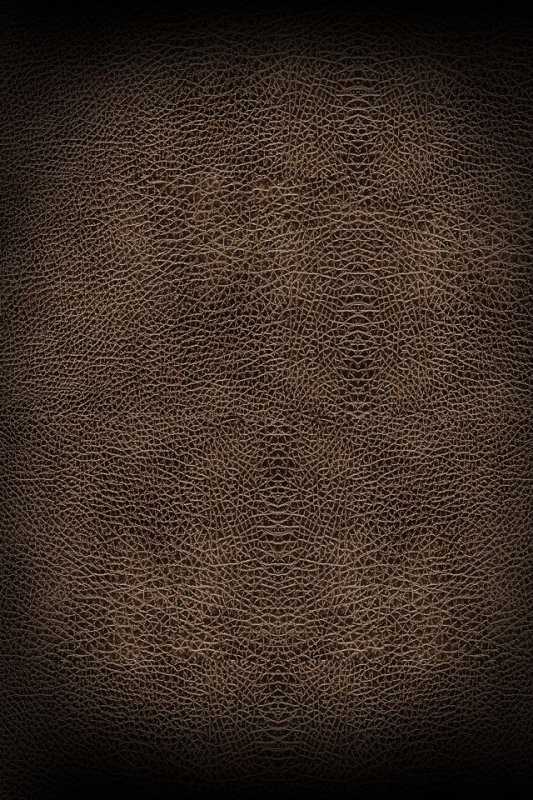 Текстура кожи