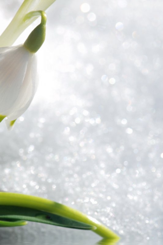 Весенний фон