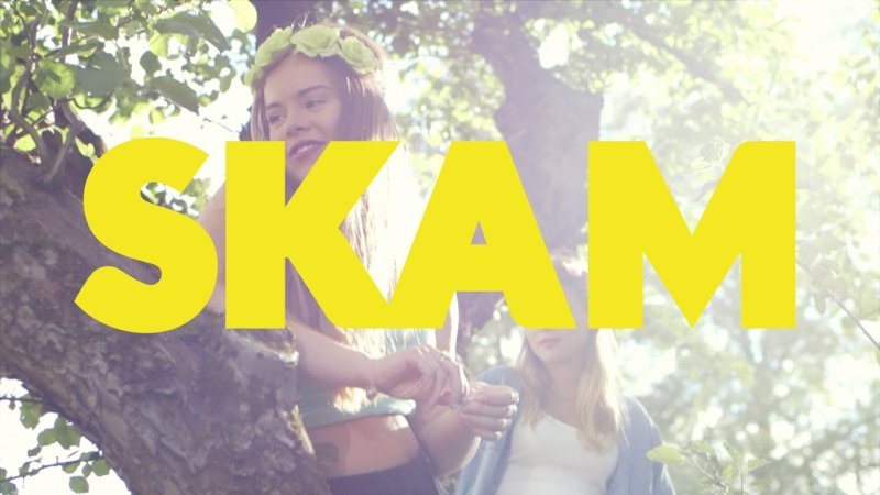 СКАМ Постер