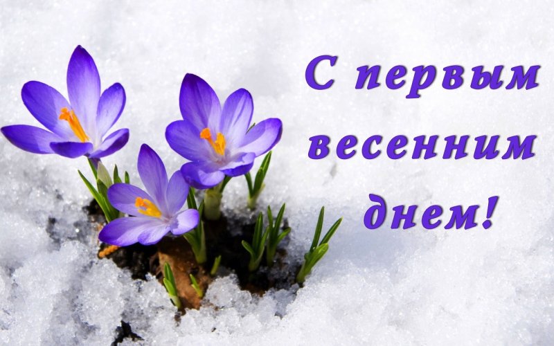 Первоцветы (подснежники, крокусы, гиацинты).