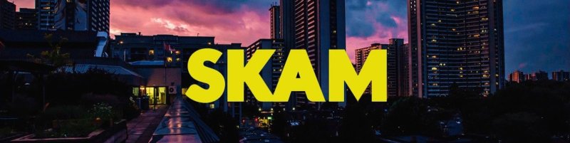 СКАМ заставка