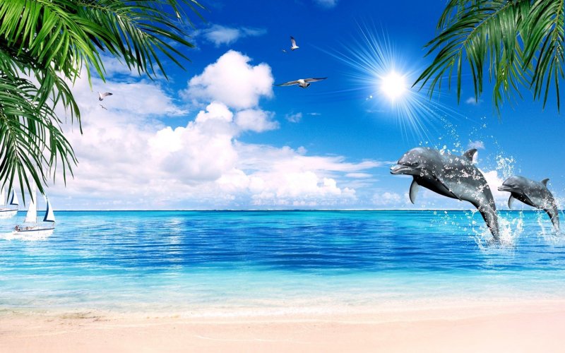 Море пальмы