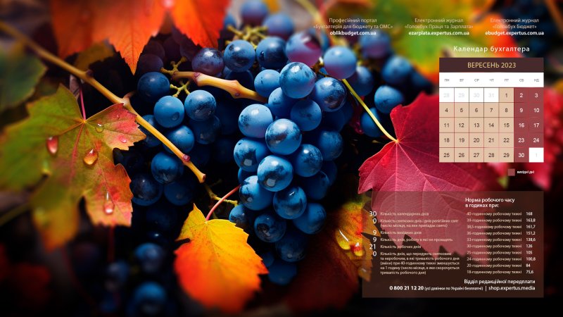 Обои на рабочий стол календарь для бухгалтера май 2024 год