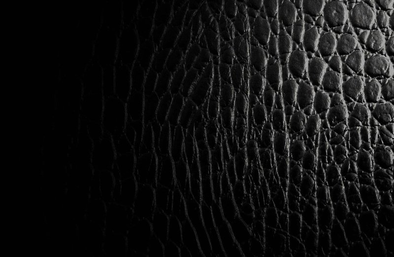 Кожа крокодила текстура