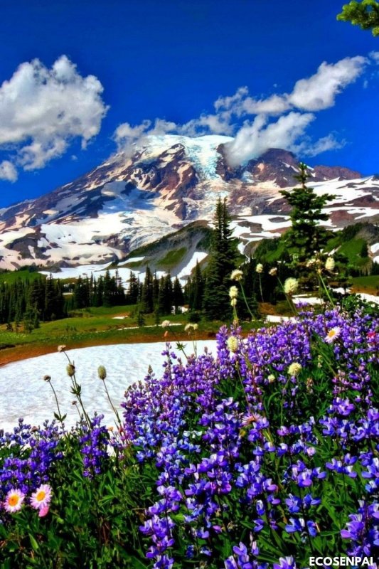 Весна в горах