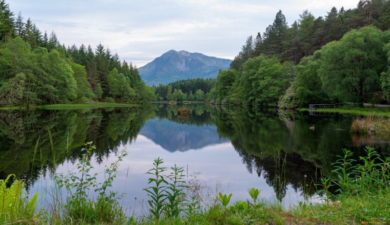 Южный Шварцвальд озеро