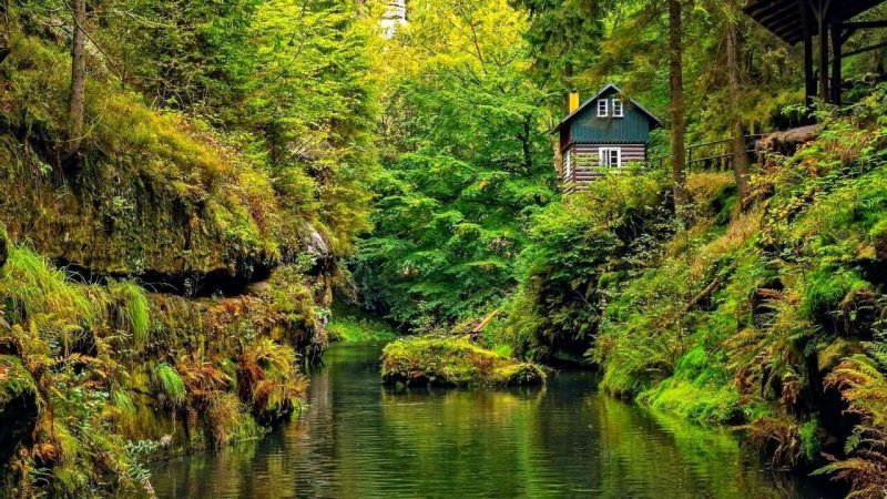 Красивый домик в лесу