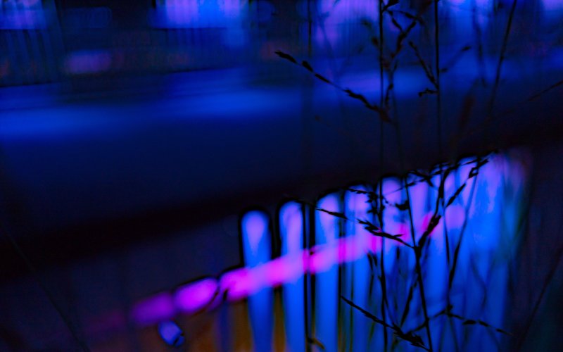 Фиолетовый свет