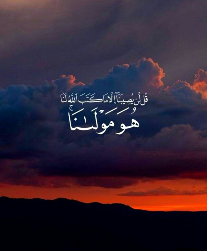 Красивые цитаты на арабском