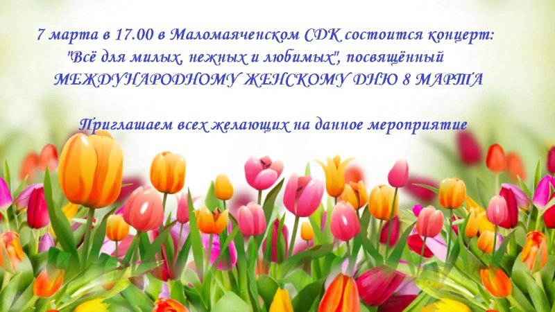 Красивые тюльпаны