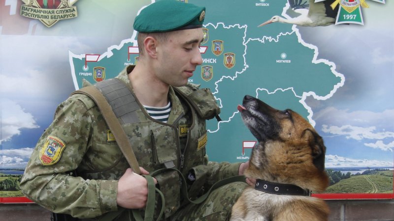 Пограничный пес алый