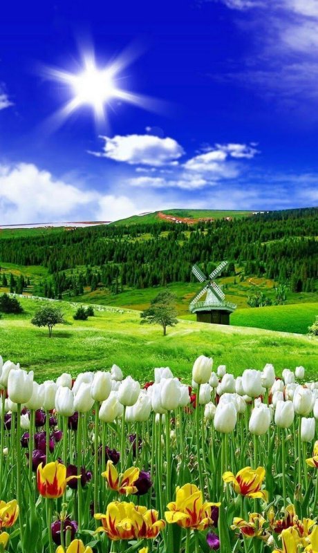 Весенняя природа