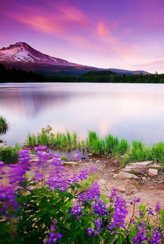 Природа озеро