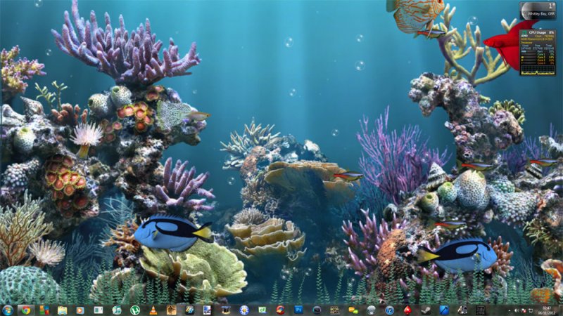 Живой аквариум на рабочий стол